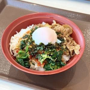 「6/9発売」【すき家】季節限定の大人気メニューを食べた本音レビュー！リピートしたくなる美味しさ
