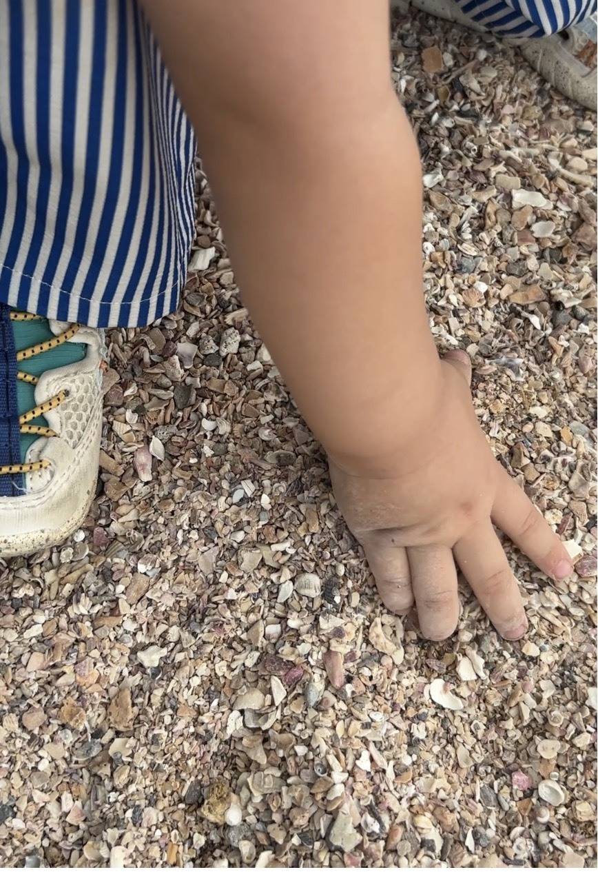 子どもの手