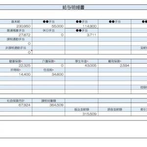 【リアル給与明細】企画職。あと5万円収入を増やしたい……。副業で稼げるでしょうか？