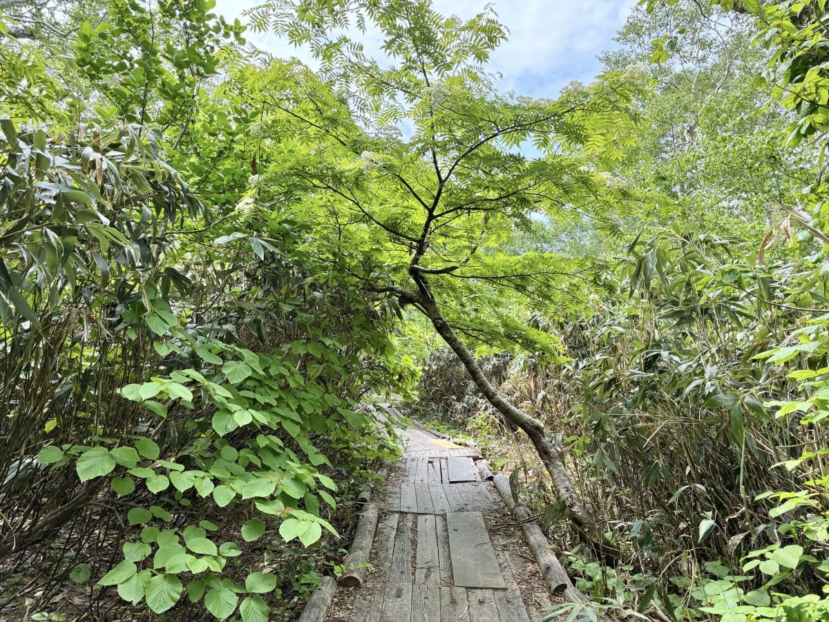 神仙沼への道のり①