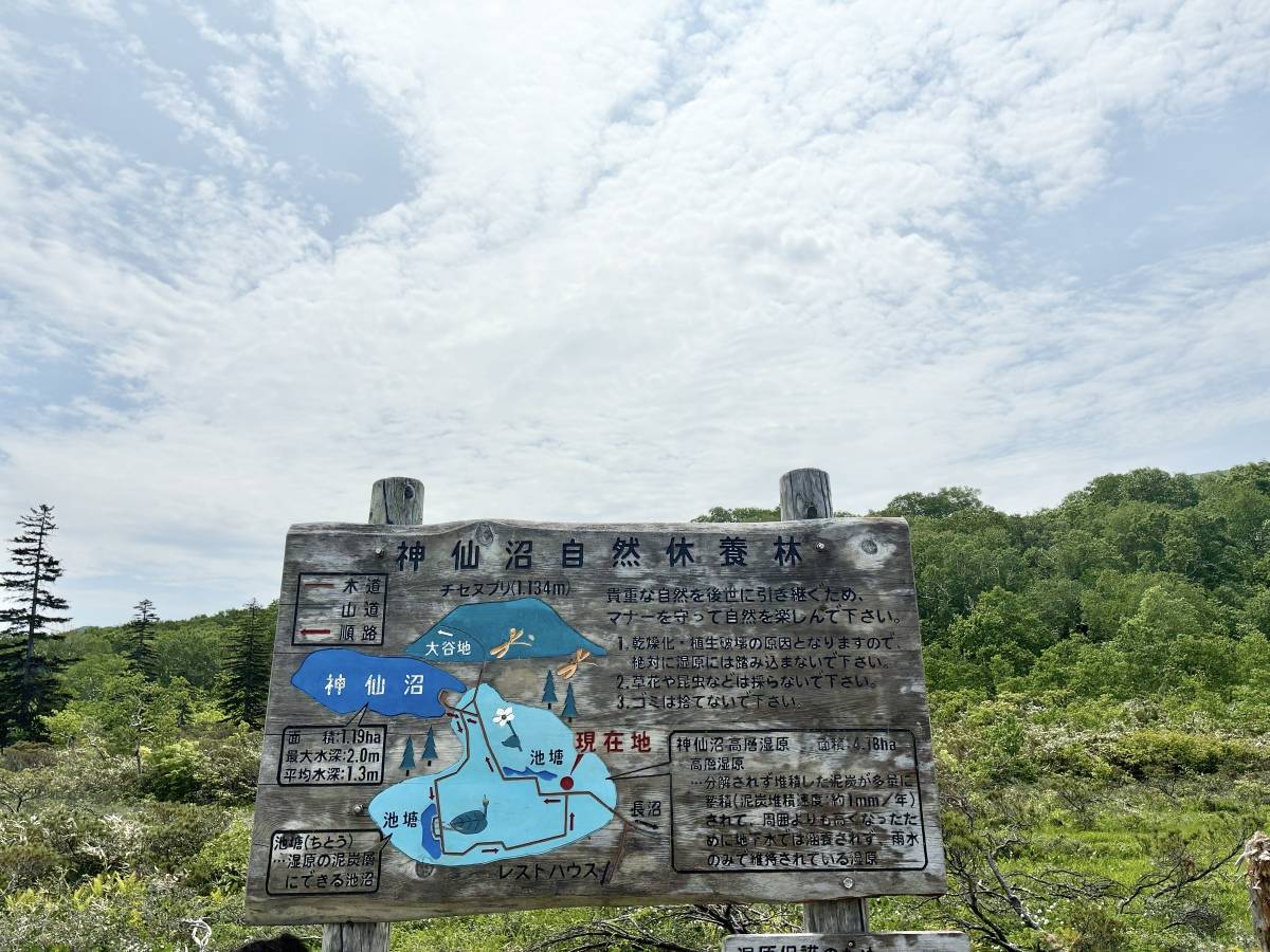 沼まであと一歩の看板