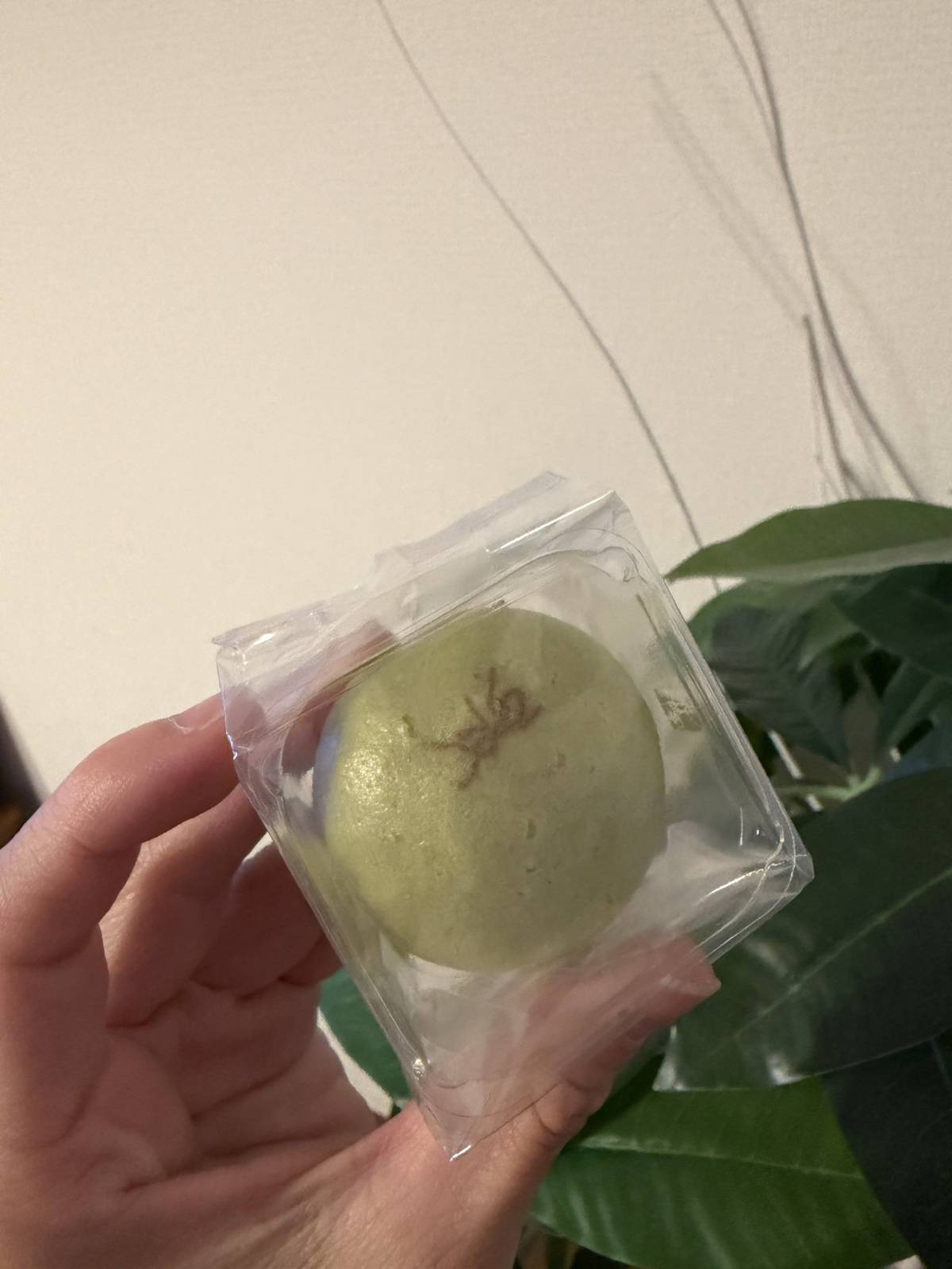 たねや饅頭