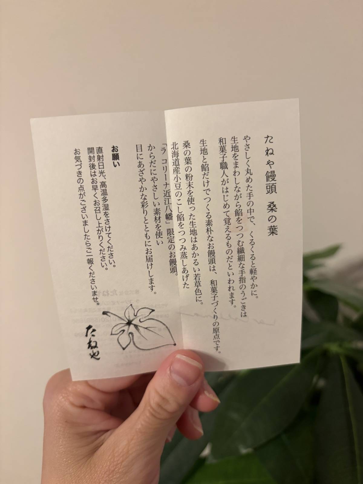 たねや饅頭の説明書