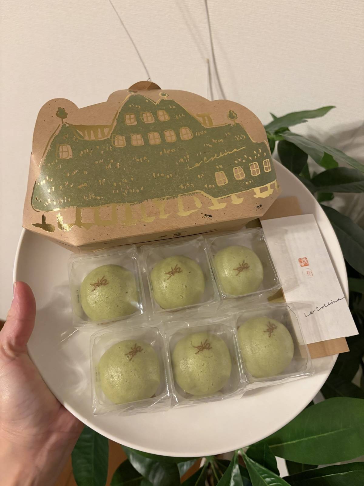 箱に入ったたねや饅頭
