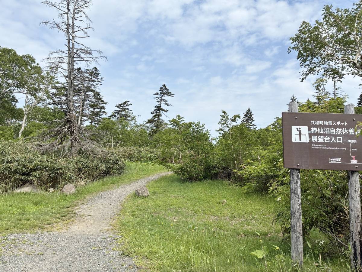 展望台への看板