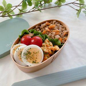 【時短弁当】忙しい朝でも簡単！！彩りもボリュームも叶う簡単そぼろ弁当！