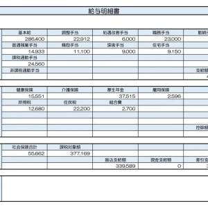 【リアル給与明細】薬剤師。収入は増やしたいけど残業は避けたい……。経験を活かせる副業はある？