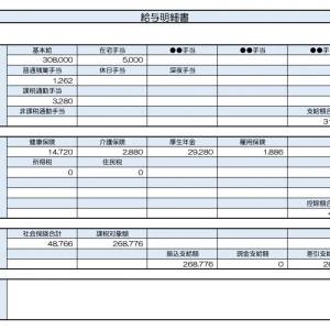 【リアル給与明細】49歳、技術職。転職して年収が100万円ダウン……。今からでも月2万円増やせるでしょうか？