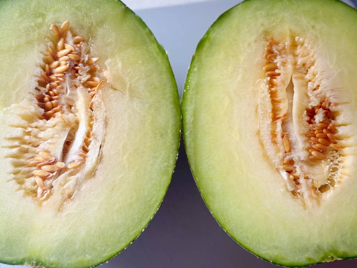 毎年完売するほど人気だって！“スイーツ級”の甘さの絶品「メロン」 | 4yuuu