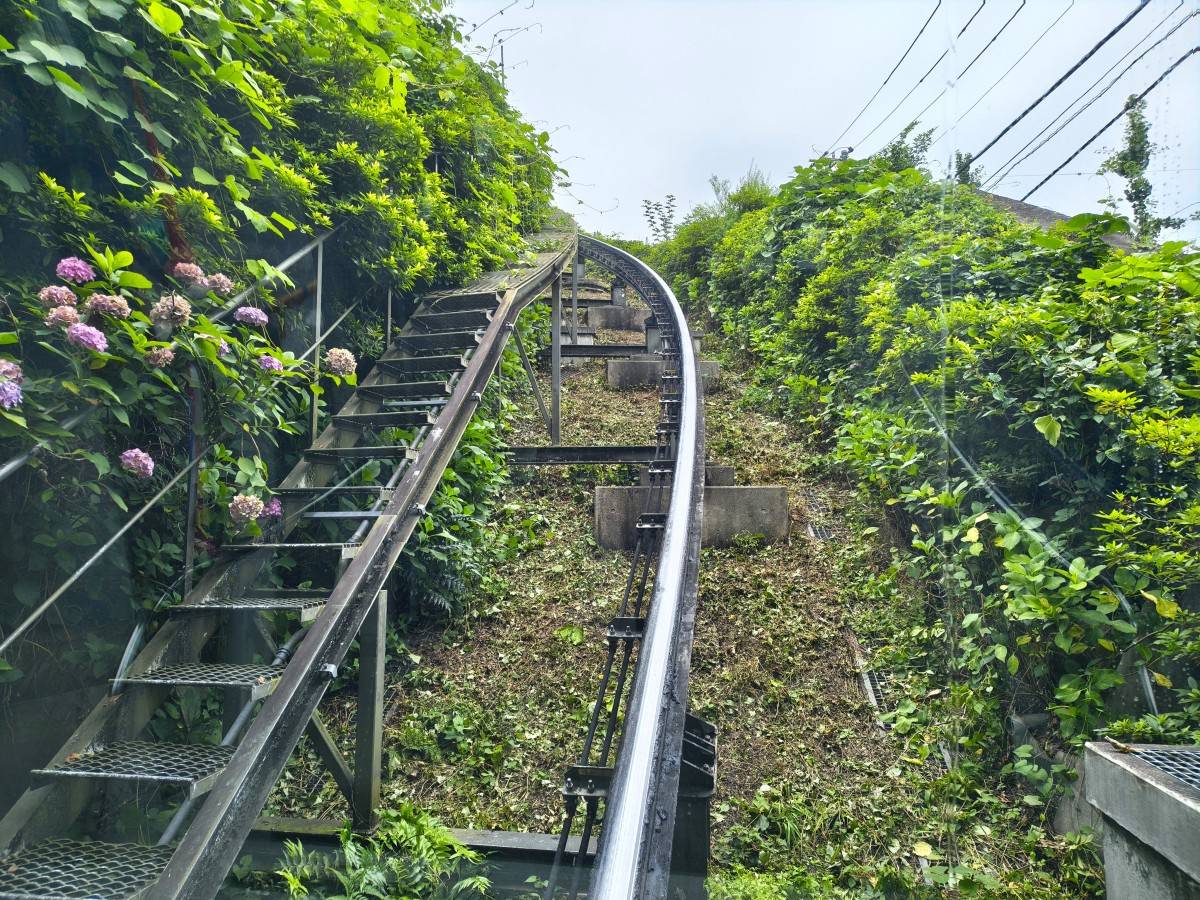 アスカルゴ車窓から見える緑の木々