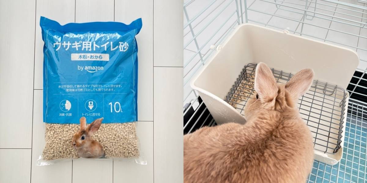 by Amazon ウサギ用トイレ砂(木粉・おから)10L