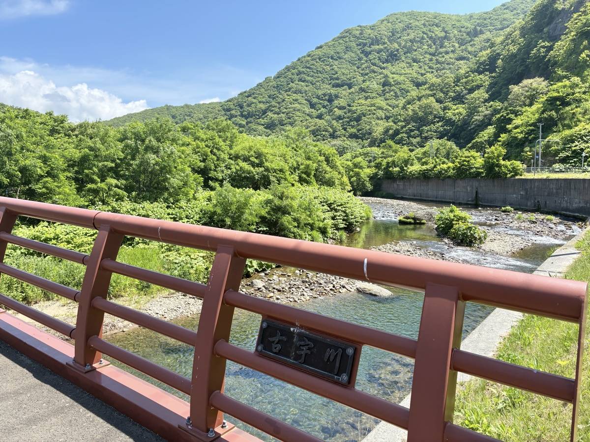 巻渕橋　森林側