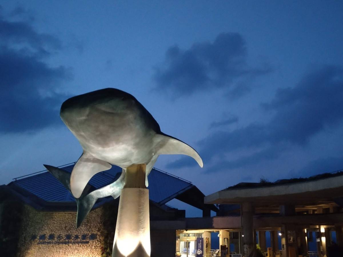 夕方の薄暗い空とジンベエザメのモニュメント