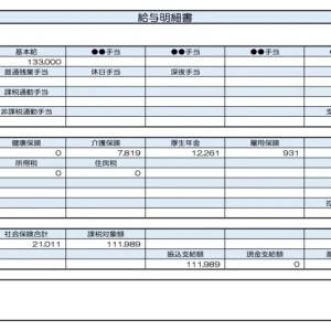 【リアル給与明細】40歳、事務職。月140時間勤務で手取り約11万円……。自分に合った保険の選び方は？