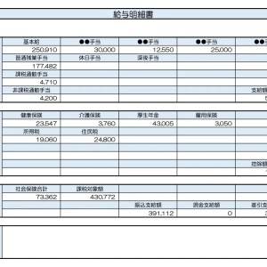 【リアル給与明細】44歳、人事職。定年までに3,000万円貯めたい。効率的な方法はある？