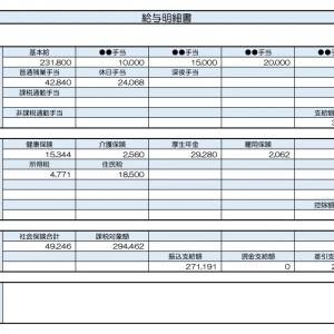 【リアル給与明細】49歳、看護師。給料が低いため副業を始めたい。税金面で損しないラインはどこ？