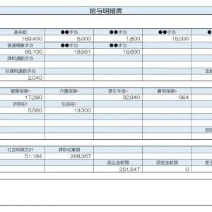 【リアル給与明細】技術職。閑散期には収入がダウン……。安定して貯蓄を増やすためにはどうする？