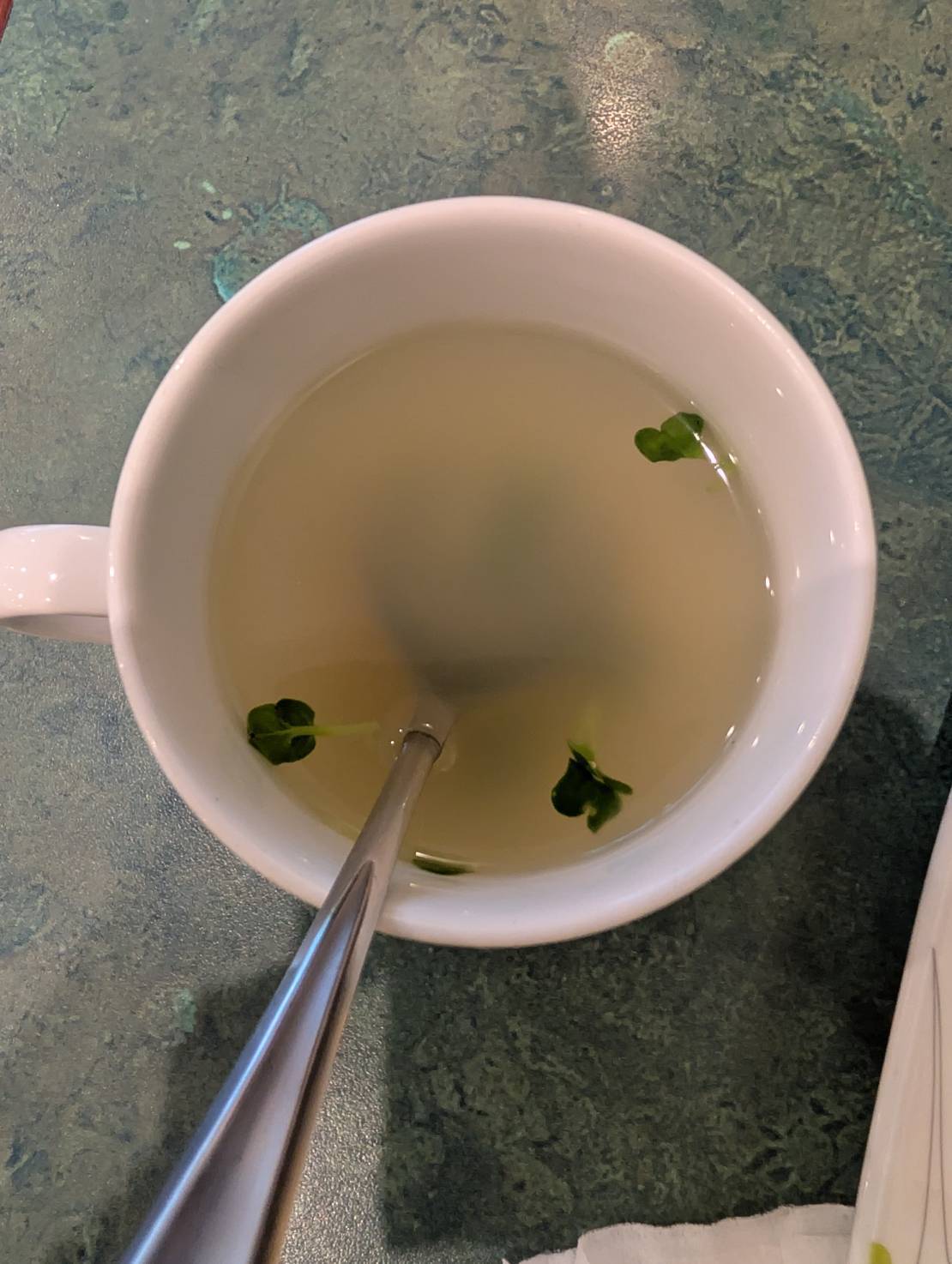 ストロベリーフィールズ スープ