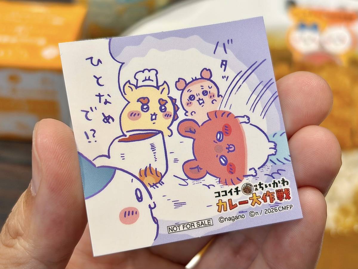 写真⑦