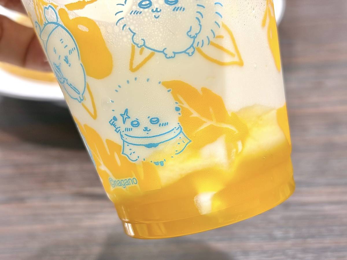 写真⑤