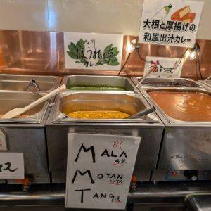 ランチのお弁当に◎漢方・薬膳スパイス＆野菜もりもりが嬉しいカレー