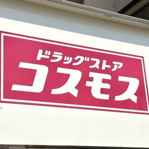【コスモス】大人気の「冷やし茶碗むし」を実食レビュー！夏らしさを感じる美味しさ
