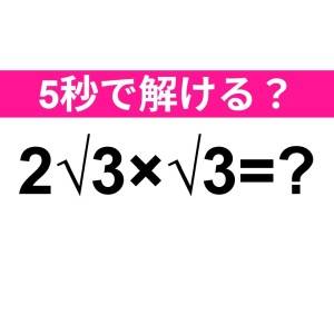 ヒントなしで解けた人、どんだけ優秀なのよ。正解はコレ【算数クイズ】