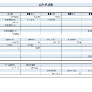 【リアル給与明細】営業職。年収が低くて貯金できない……。転職すべきでしょうか？