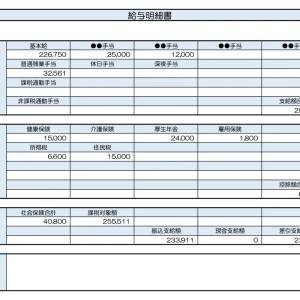 【リアル給与明細】販売職。給料は低いけど車は生活に欠かせない……。ほかにどこを節約する？