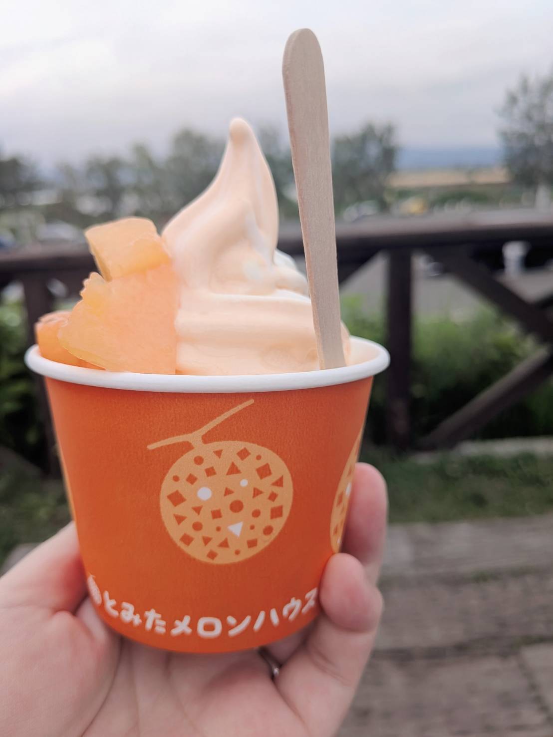 とみたメロンハウスの果肉トッピングソフトクリーム