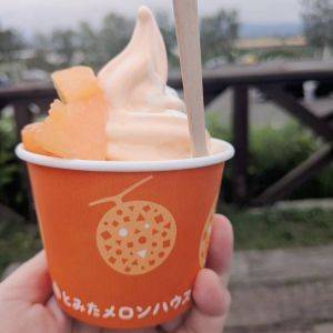 【北海道】富良野に来たら食べてみて♪夕張メロン入りのご褒美スイーツ