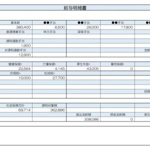 【リアル給与明細】51歳、公務員。早期退職しました。今後の資産運用のポイントは？