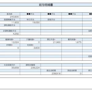 【リアル給与明細】事務職。貯金額を月1万円から3万円に増やしたい。今の収入のままで可能でしょうか？