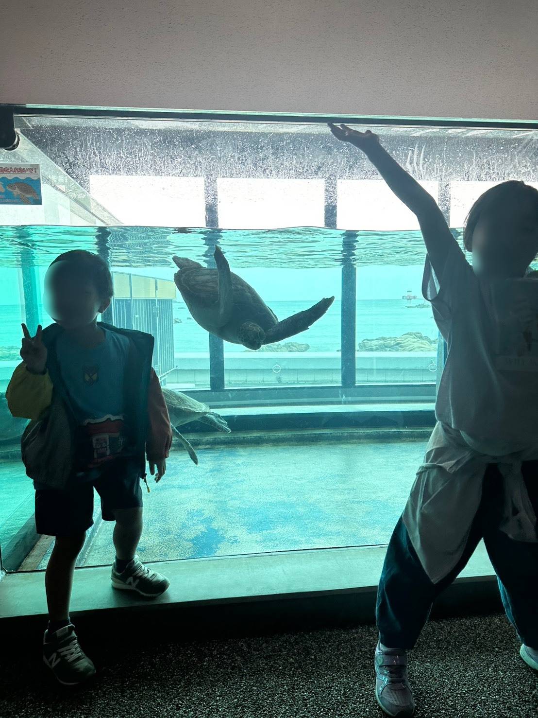 高知県立足摺海洋館 SATOUMIの水槽と2人の子ども