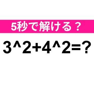 もはや天才にしか解けない問題だわ……。正解はコレ！【算数クイズ】