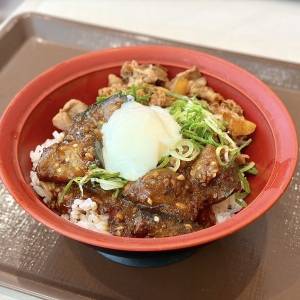 【すき家】「久々の大当たり」「食べ応え抜群」SNSでも大絶賛の新作牛丼が発売中だよ！本気でウマいよ