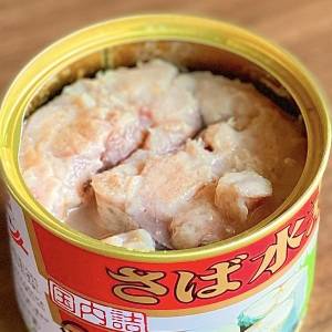 実は切ってのっけるだけ。「サバ缶×めんつゆ」を使った簡単レシピ