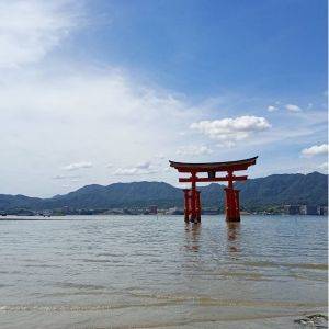 【広島県】大鳥居も可愛い鹿も見応えあり。日帰りで厳島神社へお出かけ