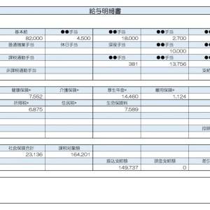 【リアル給与明細】保険営業。手取りが少なく貯金に回せない……。支出を見直すポイントは？