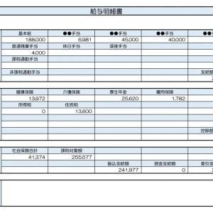 【リアル給与明細】検査技師。給料が生活費に消える……。収入を上げるには転職が一番？