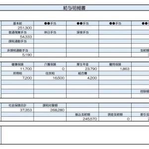 【リアル給与明細】研究職。今の収入で資産を増やすには何をしたらいいでしょうか？