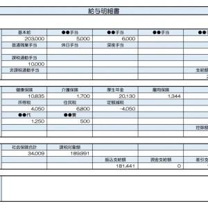 【リアル給与明細】43歳、病院勤務。夫婦ふたりで手取り月35〜40万円。どの程度貯金に回せるでしょうか？
