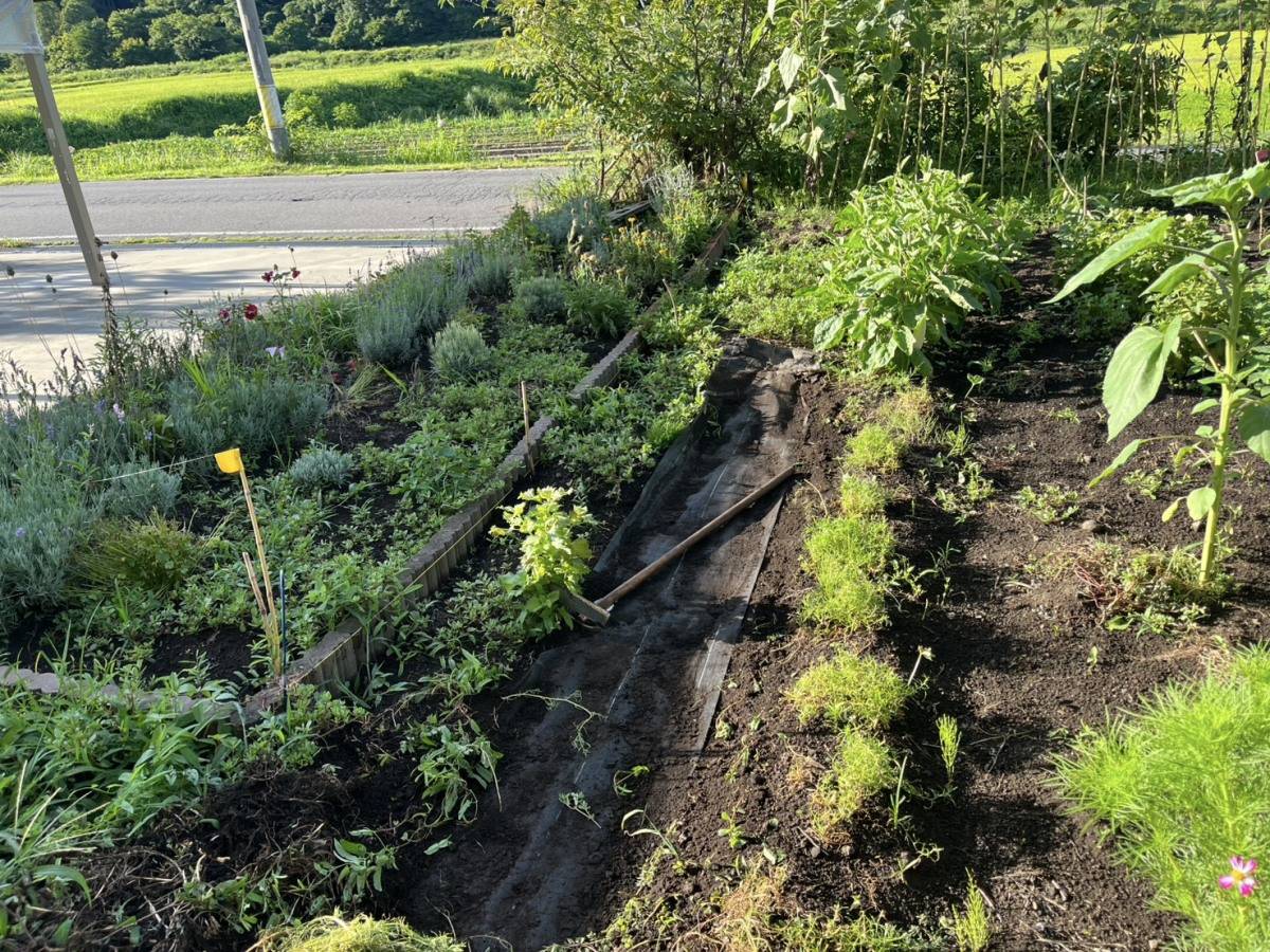 花壇と畑のあいだに黒い防草シートを敷いた通路