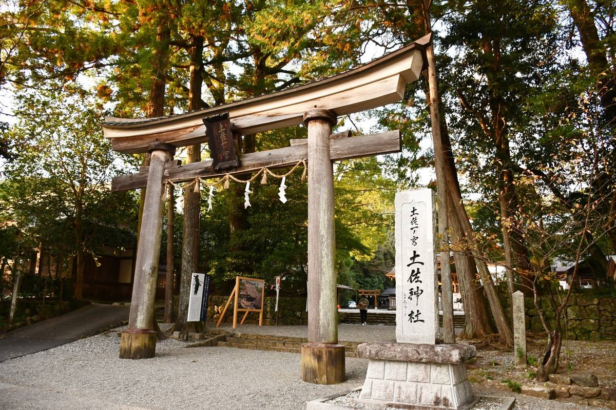 土佐神社