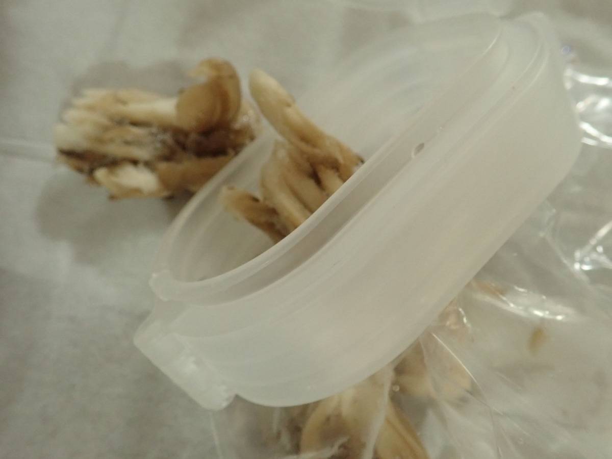 ダイソー：冷凍食品用袋キャップ(大きめ食材用)