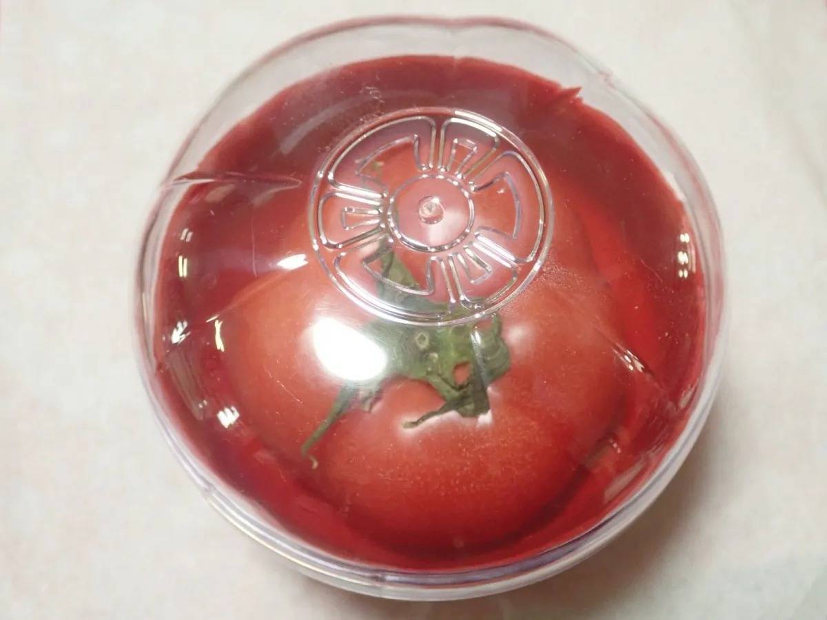 ダイソー：野菜保存容器(トマト型)