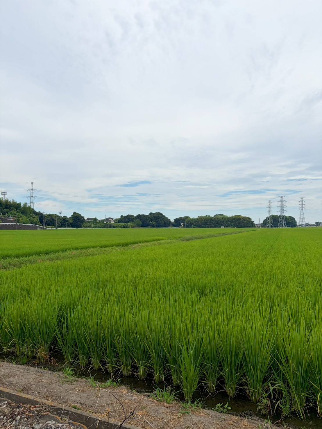 田園風景