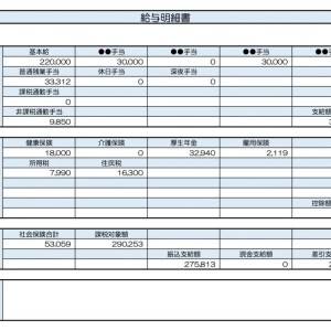【リアル給与明細】事務職。今の収入ならどの保険に入るべきでしょうか……？