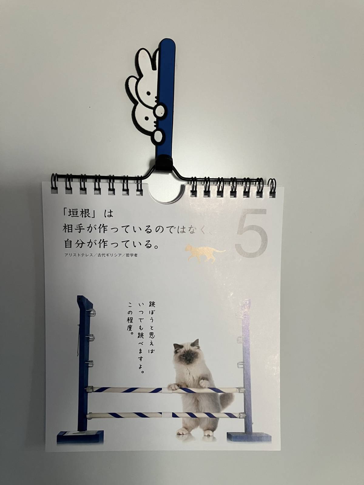 ダイソー：ニャン！とも素敵な日めくり名言カレンダー