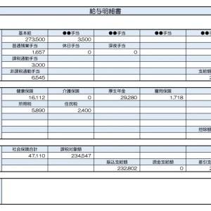 【リアル給与明細】研究職。食費がかさんで貯金できない……。節約のポイントは？